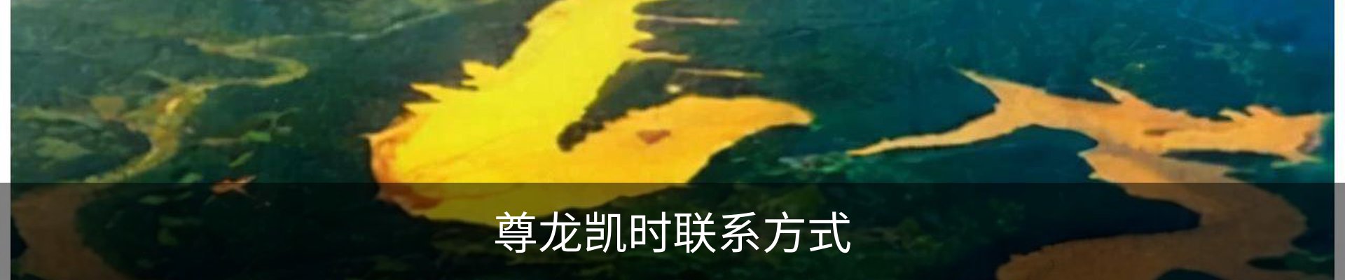 尊龙凯时联系方式